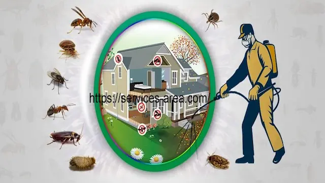 شركة مكافحة حشرات بالقطيف