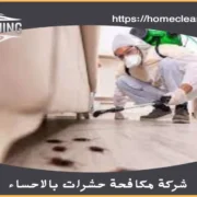 شركة مكافحة حشرات بالاحساء