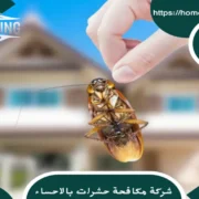شركة مكافحة حشرات بالاحساء